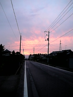お気に入りです。