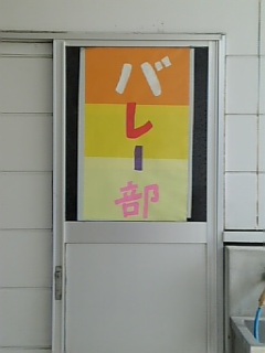 携帯で撮影！！